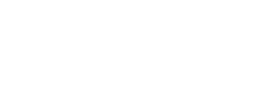 Yfls Logo White