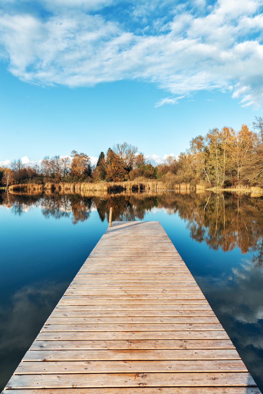inline_736_https://youflourish.co/wp-content/uploads/2023/05/pexels-photo-1471726.jpeg